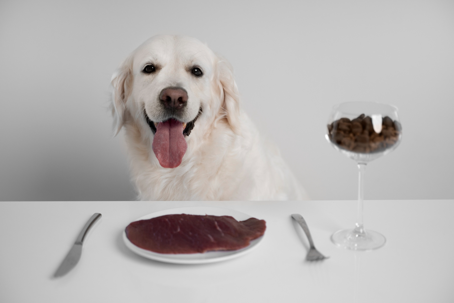 Human food safe for dogs