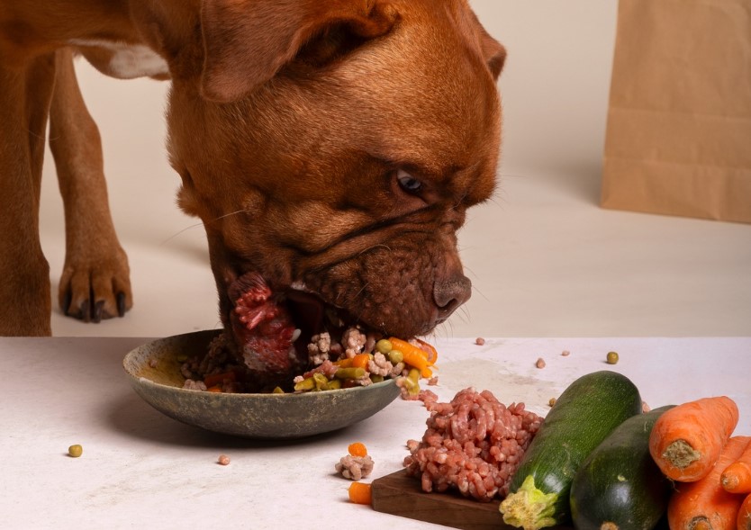 Raw food diet for dogs and cats