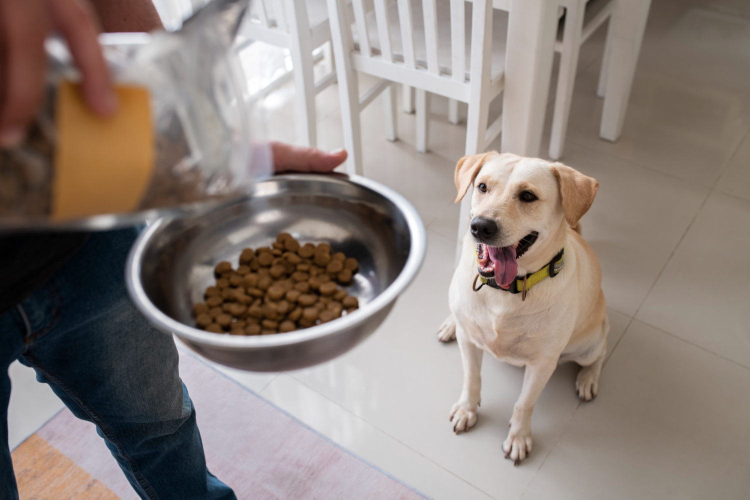 Decoding Pet Food Labels and Ingredient Lists: A Comprehensive Guide to Enhance Your Pet Care and Pet Nutrition Knowledge